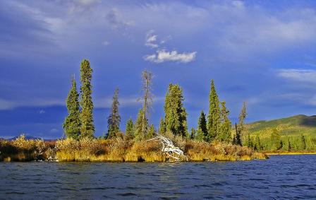 Trees on a small island in the middle of a lake with blue sky behind it