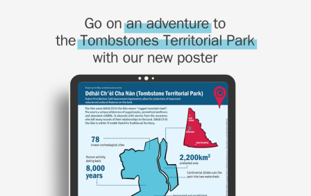 text from the summary above an ipad with the poster in it
